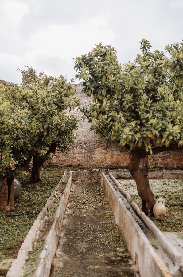 Masseria Casamassima Agriturismo Ostuni Zewnętrze zdjęcie