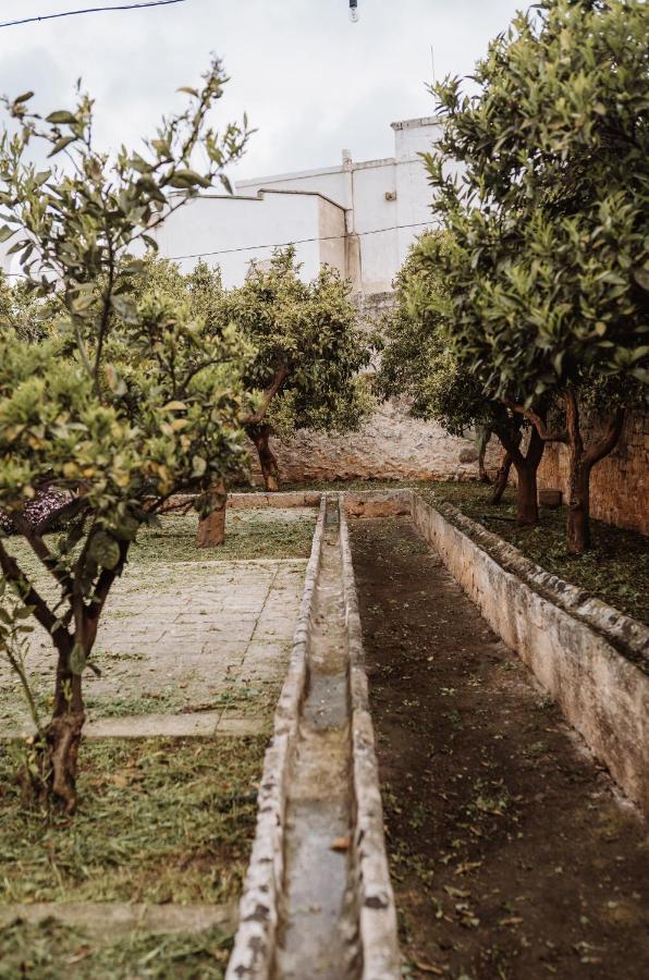 Willa Masseria Casamassima Agriturismo Ostuni Zewnętrze zdjęcie