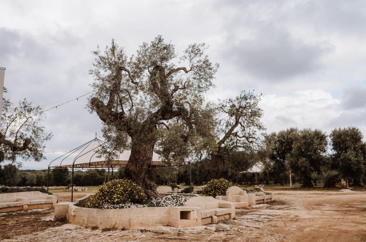 Masseria Casamassima Agriturismo Ostuni Zewnętrze zdjęcie