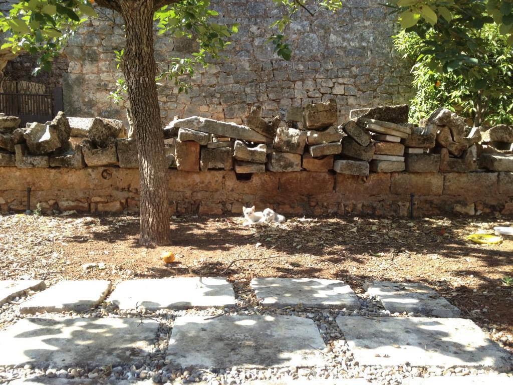 Masseria Casamassima Agriturismo Ostuni Zewnętrze zdjęcie